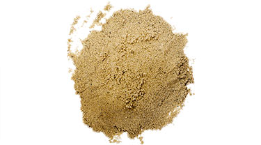 #1 Olympia Sand