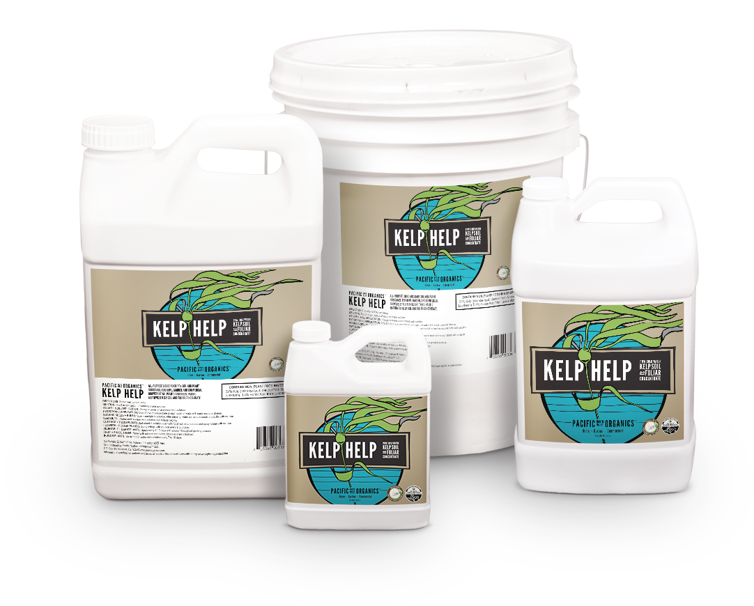 KELP HELP LIQUID CONCENTRATE