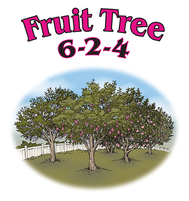 FRUIT TREE 6-2-4