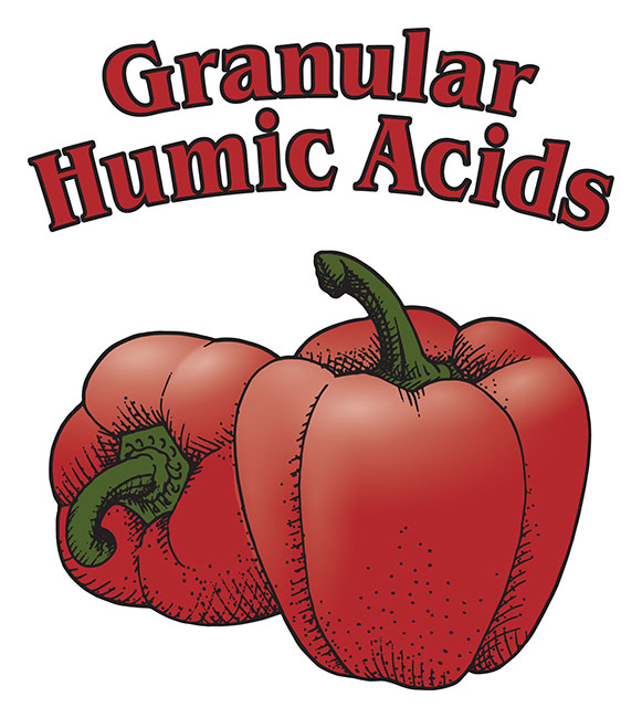 GRANULAR HUMIC ACIDS