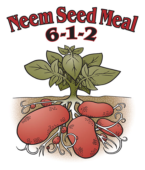 NEEM SEED MEAL 6-1-2