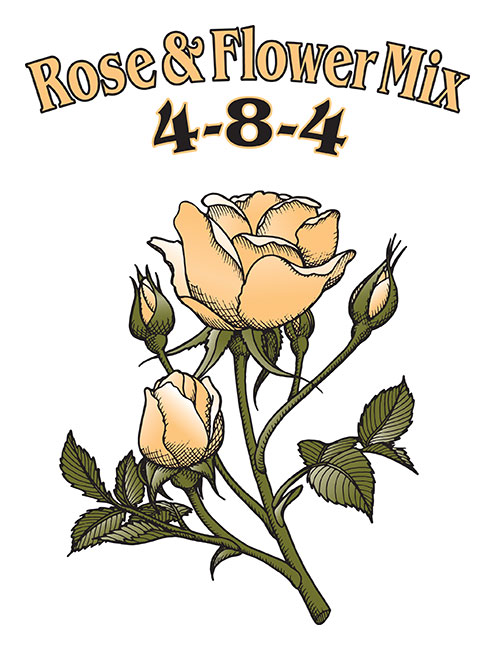 ROSE & FLOWER 4-8-4