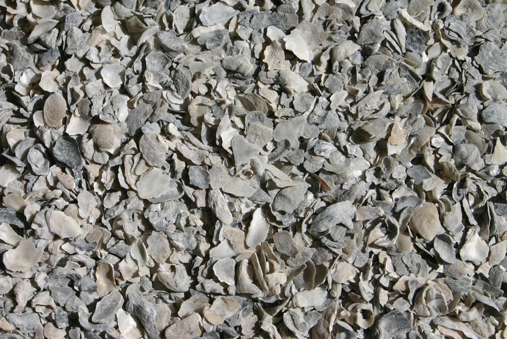 Oyster Shell Crushed Garden And Landscaping Supplies San Carlos Ca