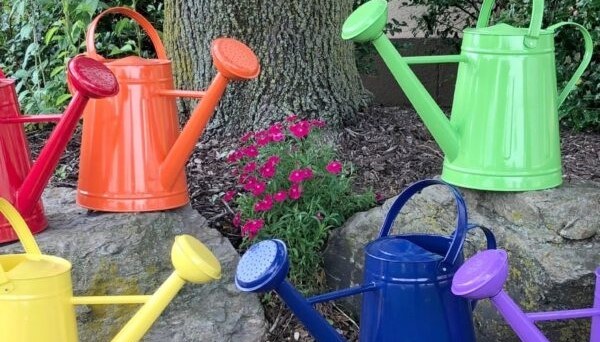 Garden Watering Cans