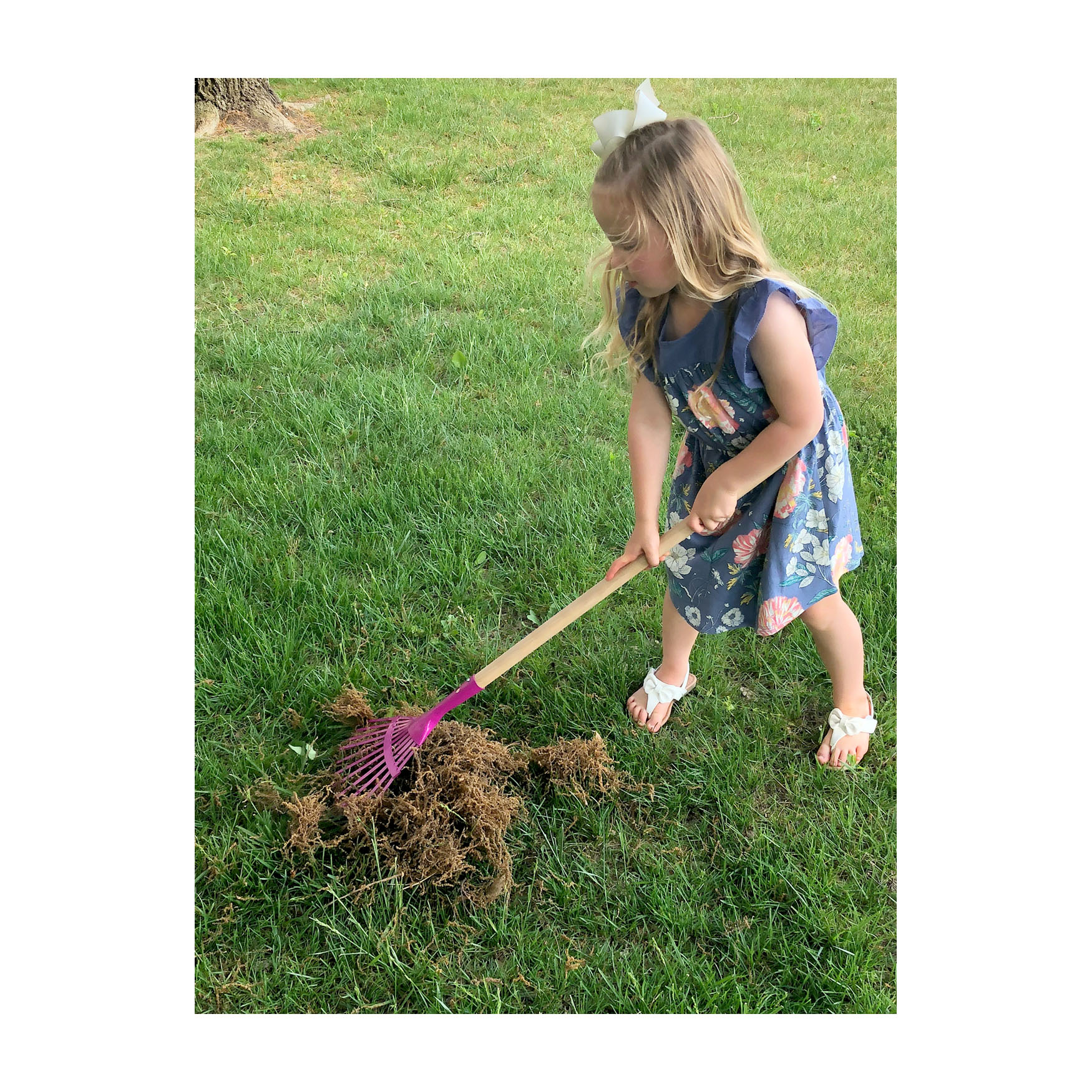 Kids Leaf Rake