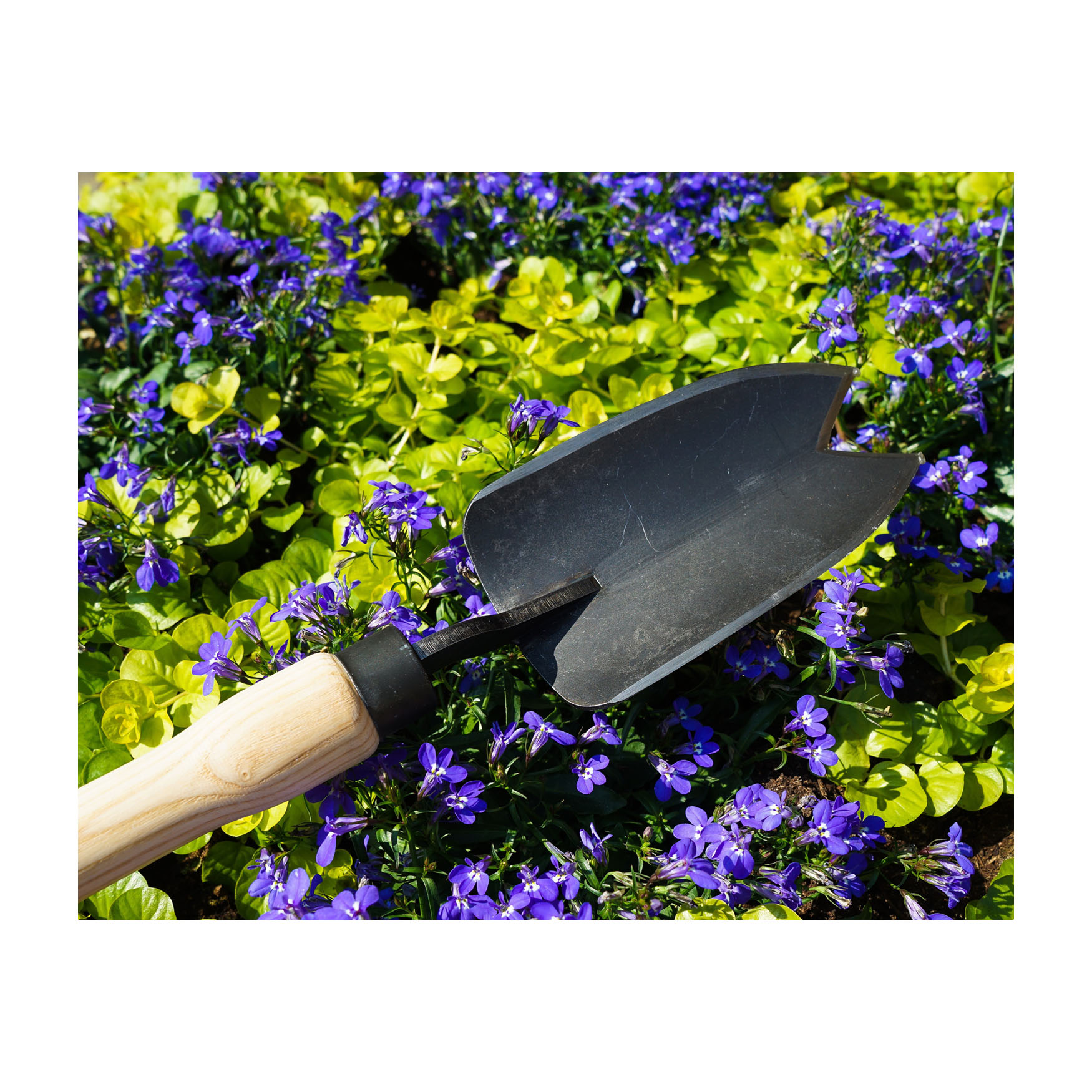 Dewit Trowel - 2 Point Cutting Edge Large