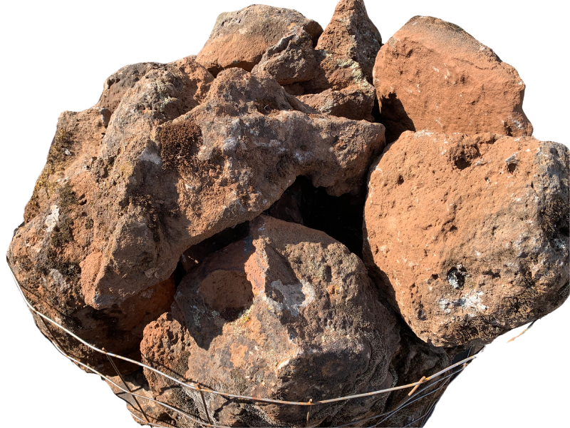 HOLEY WALL ROCK - SPECIAL ORDER