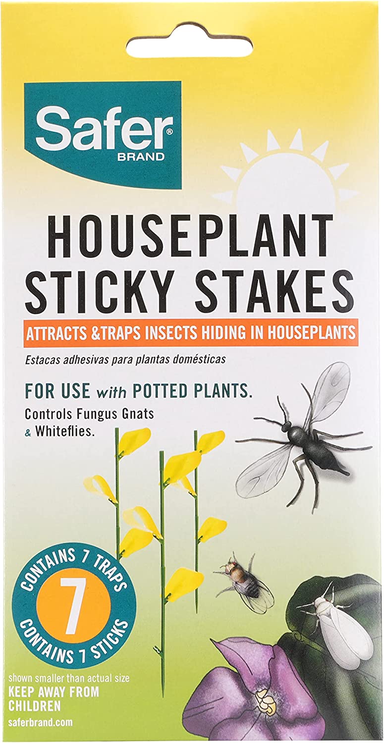 Houseplant Sticky Stakes