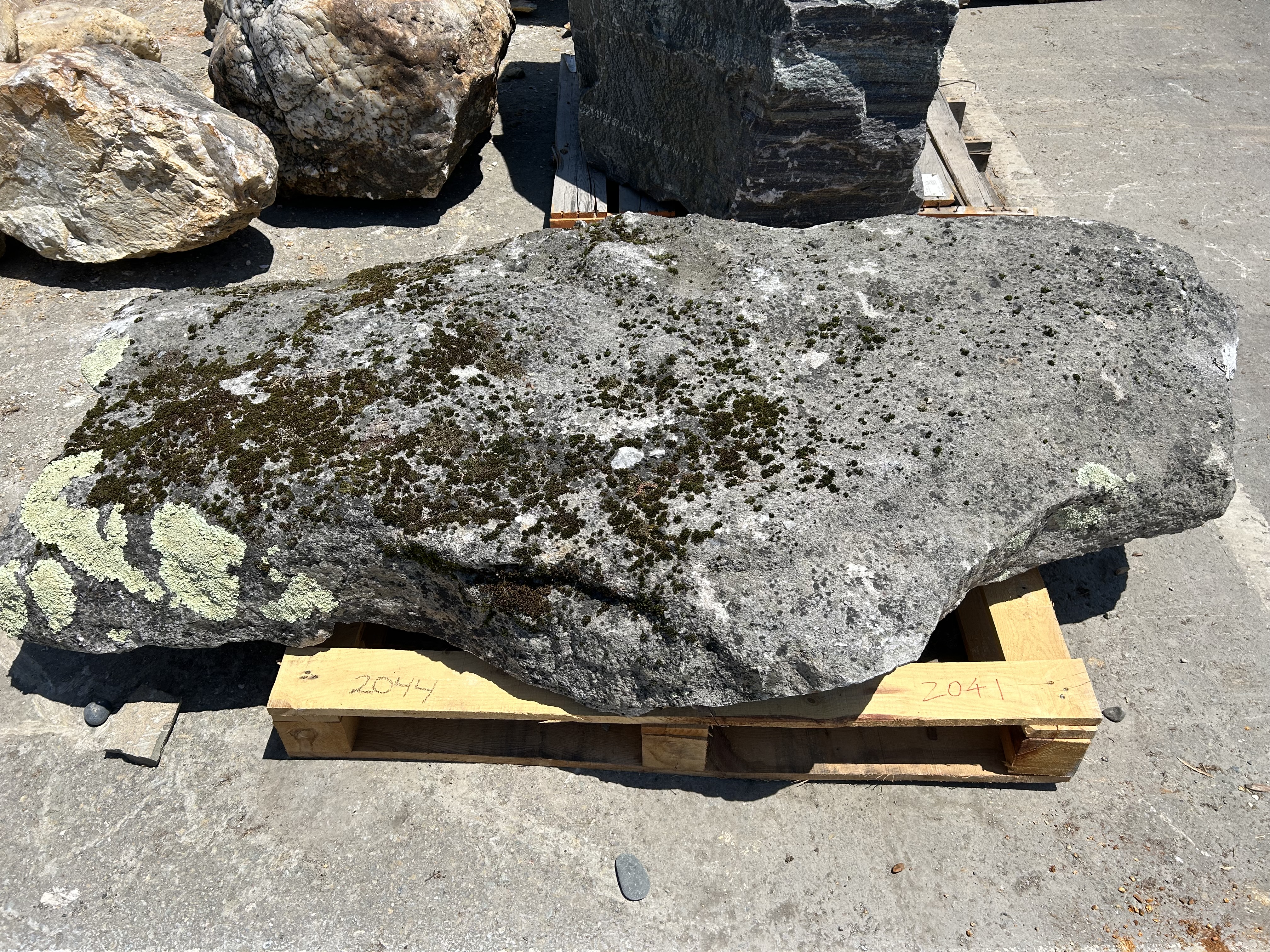 SPECIMEN EDINBORO QUARTZITE BOULDERS