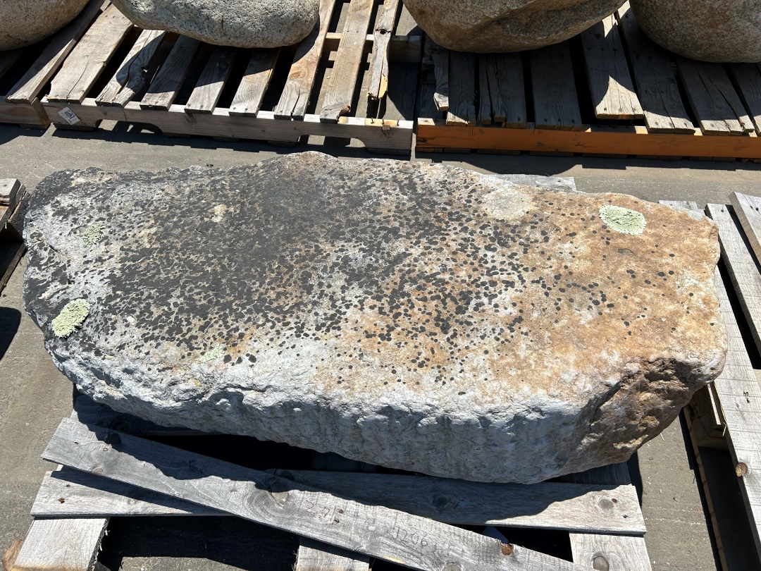 EDINBORO QUARTZITE BOULDERS