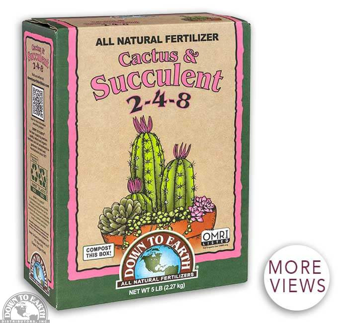 Cacti And Succulent 2-4-8 5 Lbs