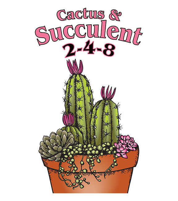 CACTUS AND SUCCULENT 2-4-8