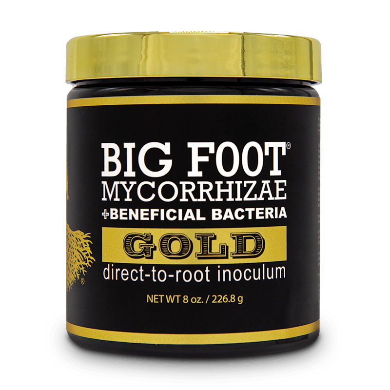 Big Foot Mycorrhizae Gold