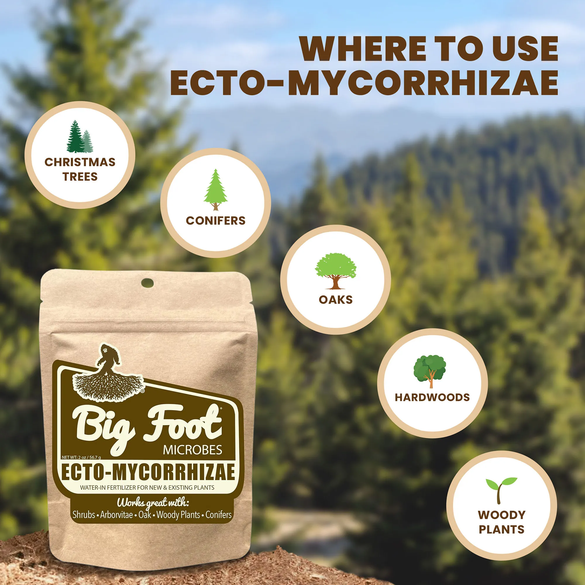 Big Foot Ecto-Mycorrhizae