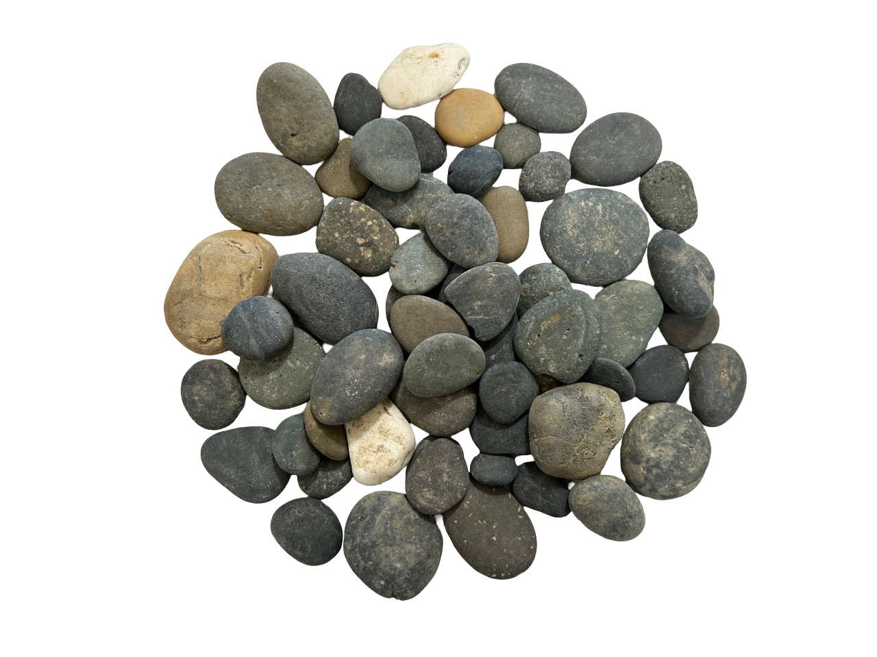 MIXED BUTTON LA PAZ PEBBLES