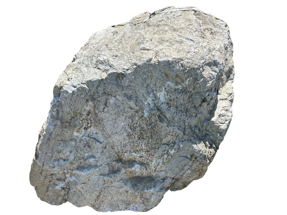 HARTFORD QUARTZITIC SANDSTONE BOULDERS